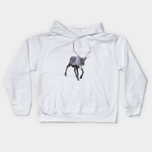 Rudolph the red-nosed Kids Hoodie